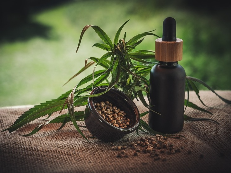 How long does CBD stay in your system